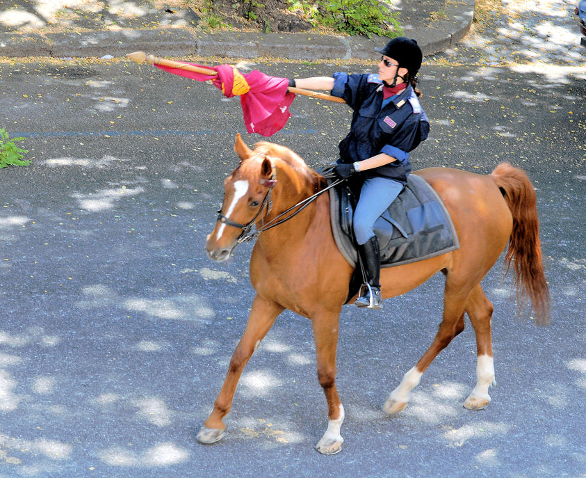 Xilocopa e ancora polizia a cavallo